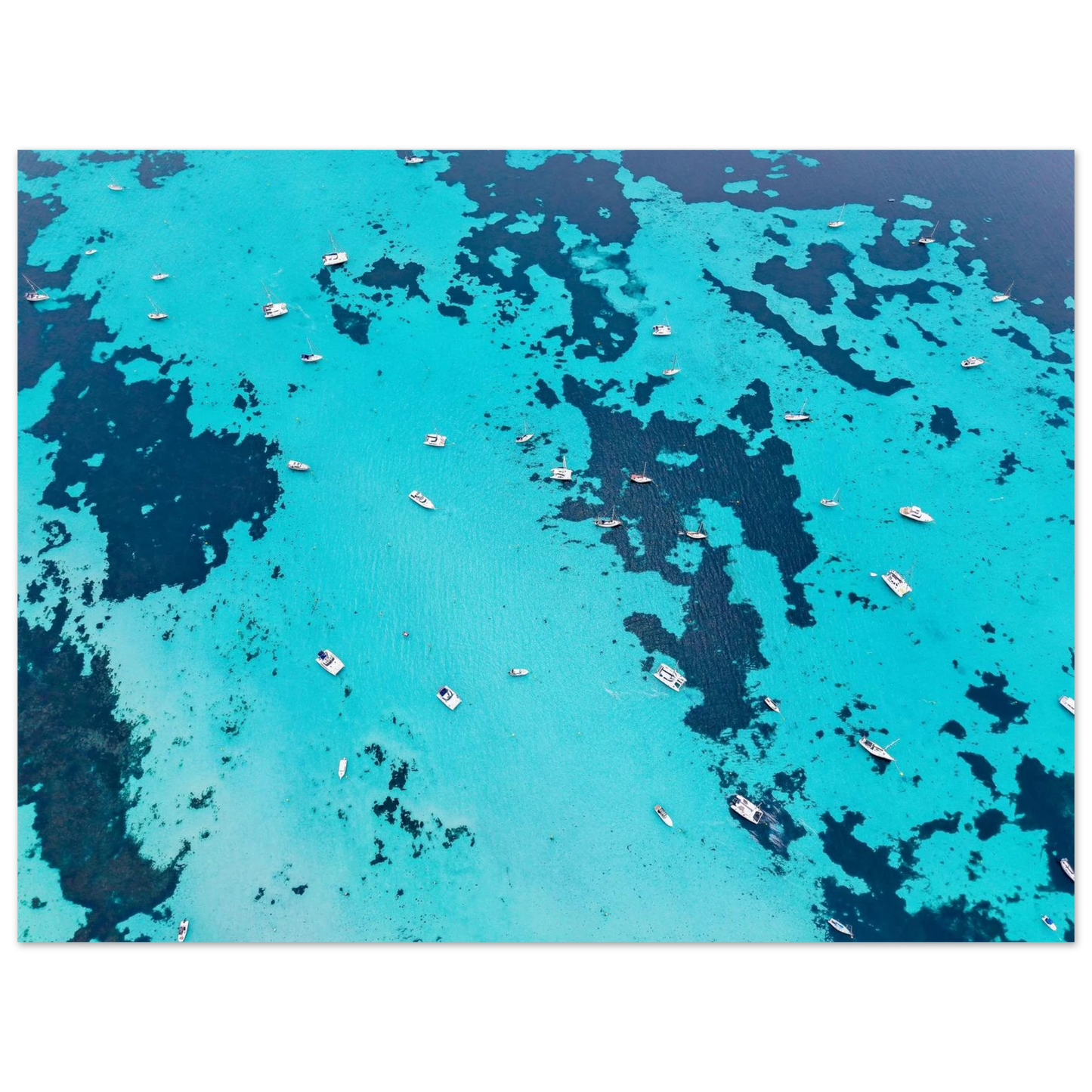4d335ac1-f3ab-4d3c-ba04-49813042ba37