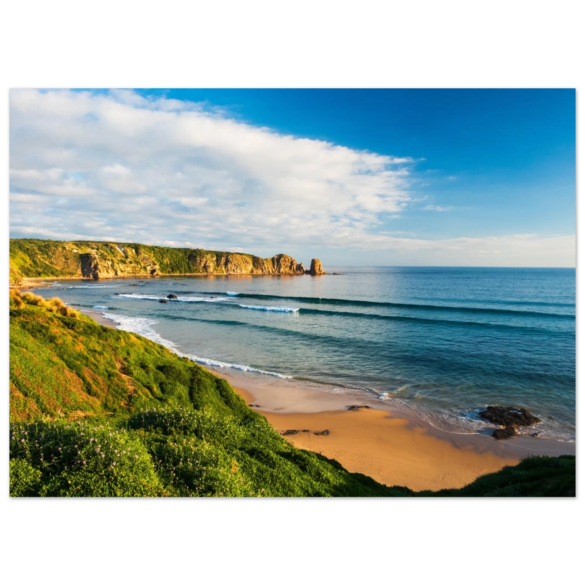 6584d838-ea2d-484a-85c2-61ea9068df63