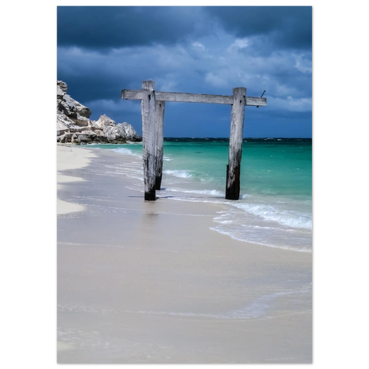 70b0683e-91bc-4572-8bf3-6231df7cae88