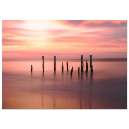 71d81c72-bf50-47bf-b695-b0ceb17e1f7e