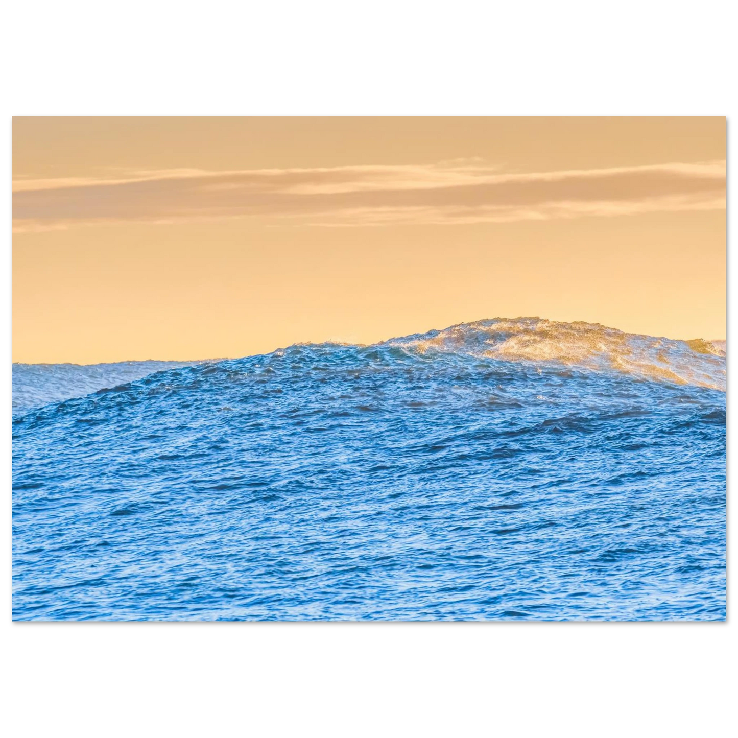 7d6c3679-8499-4ec6-8cdf-c08d3927bef5