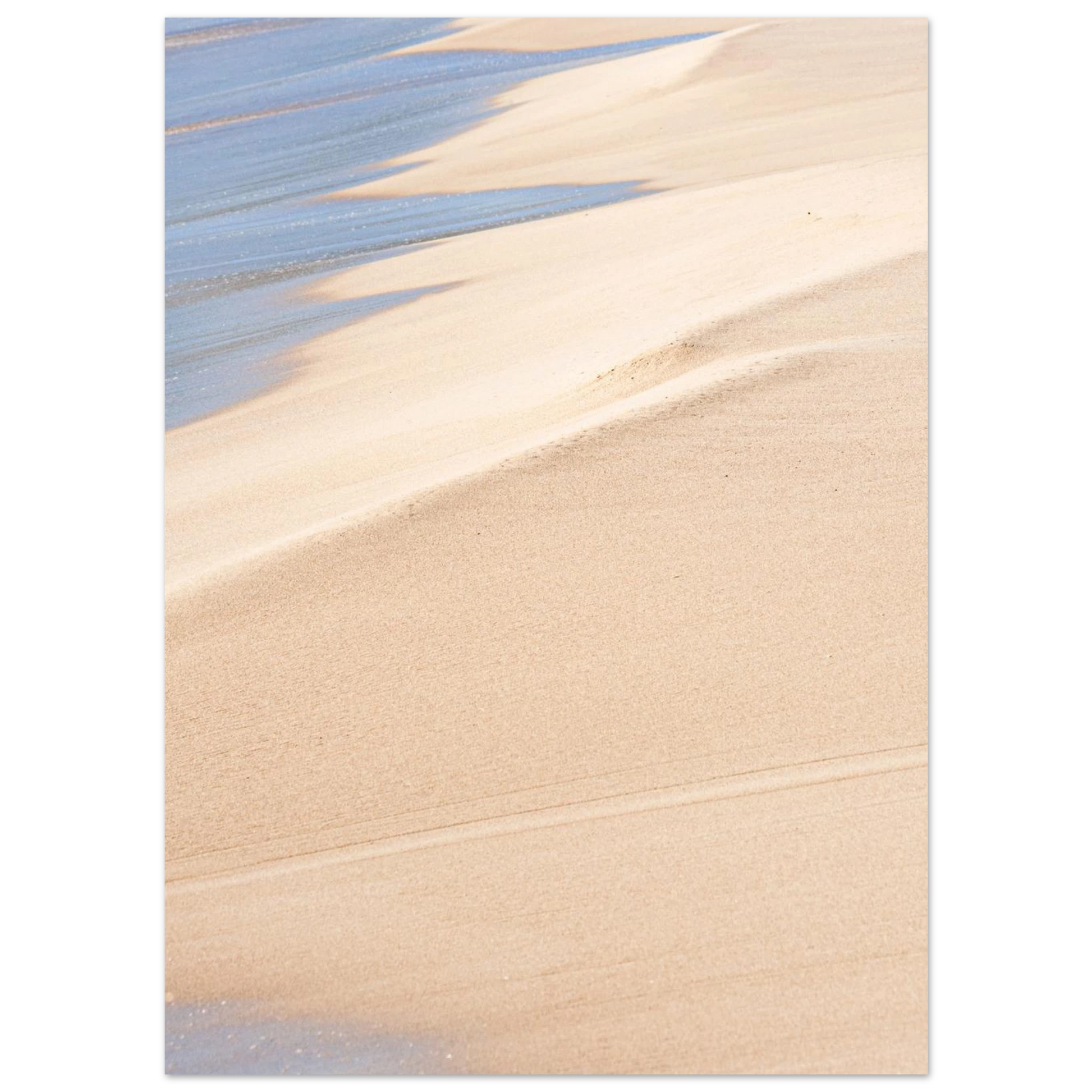 8a07f5aa-6904-420c-bc71-66850d11fd36