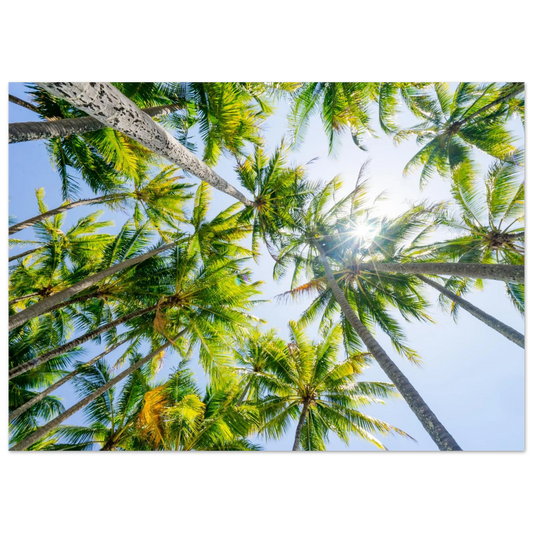 93b3c7cf-5138-4ae1-842c-77c29137e25b