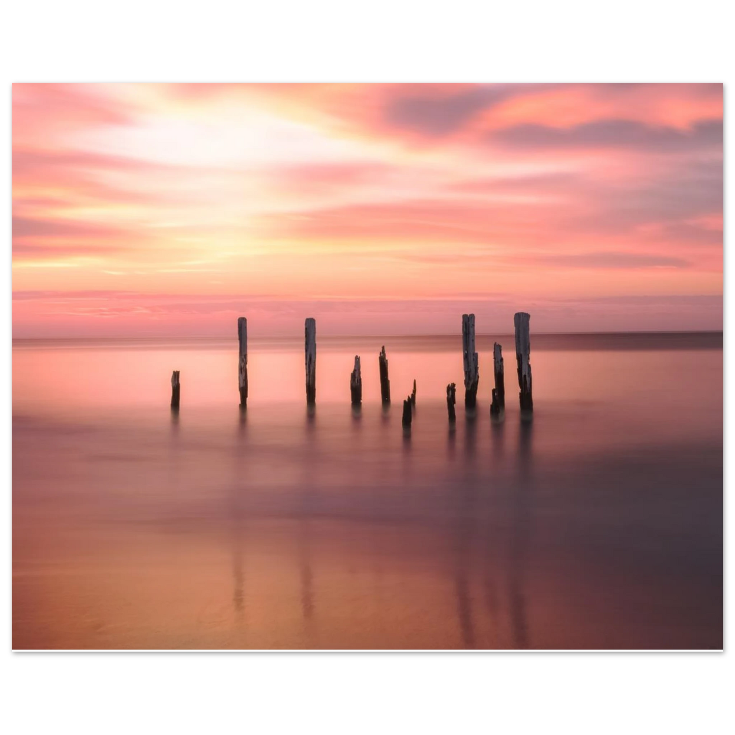 e5957c04-dc30-48b5-9235-3d3411c4fa3b