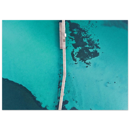 f313c82b-023e-4b6e-a22e-55426575eb48