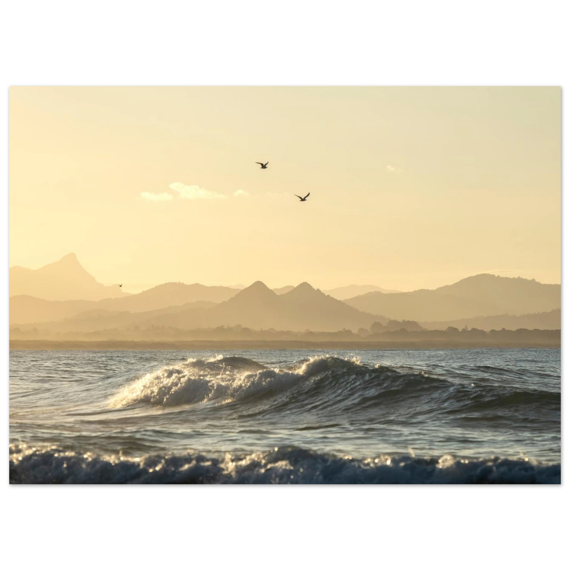 ff00b0f4-6be7-4036-821f-7373ac979f35